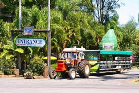 Tropical Fruit World With Wildlife Boat Cruise From Gold Coast - Nambucca Heads Accommodation 2