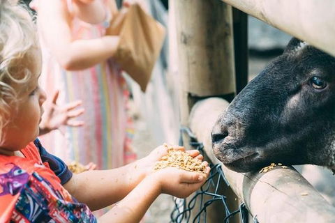 Tropical Fruit World With Wildlife Boat Cruise From Gold Coast - Nambucca Heads Accommodation 12