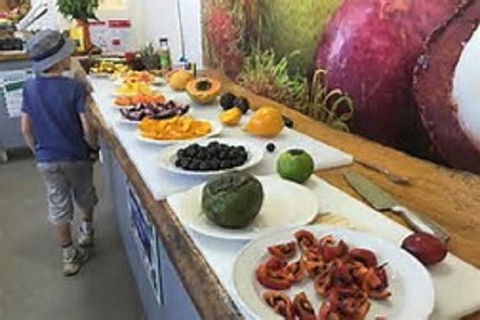 Tropical Fruit World With Wildlife Boat Cruise From Gold Coast - Nambucca Heads Accommodation 17