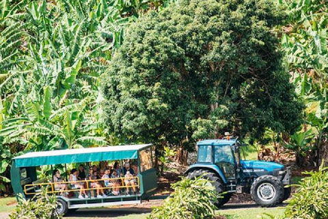 Tropical Fruit World With Wildlife Boat Cruise From Gold Coast - Nambucca Heads Accommodation 14