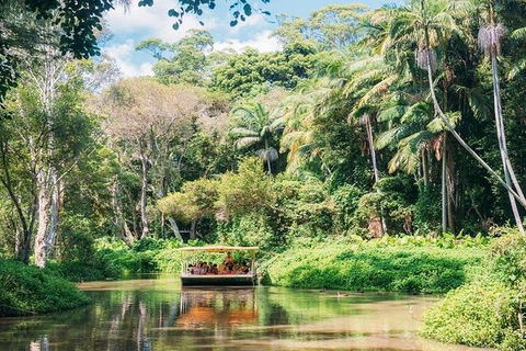Tropical Fruit World With Wildlife Boat Cruise From Gold Coast - Nambucca Heads Accommodation 11