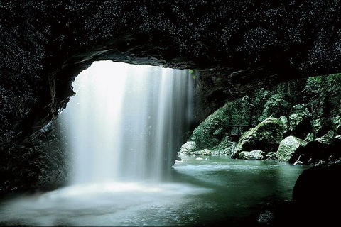 Natural Bridge Glow Worm Night Tour From Gold Coast - Nambucca Heads Accommodation 0