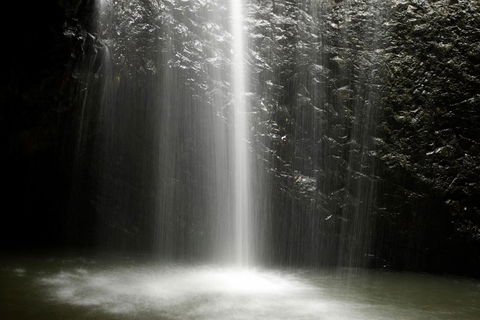 Natural Bridge Glow Worm Night Tour From Gold Coast - Nambucca Heads Accommodation 1