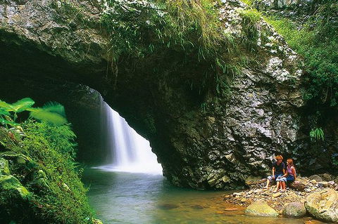 Natural Bridge Glow Worm Night Tour From Gold Coast - Nambucca Heads Accommodation 7