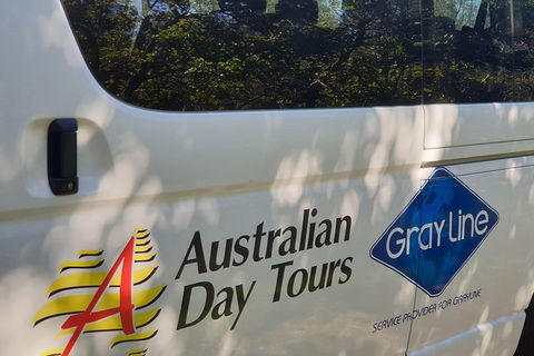 Natural Bridge Glow Worm Night Tour From Gold Coast - Nambucca Heads Accommodation 9