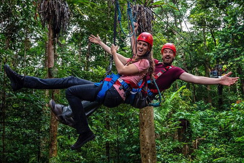 Daintree Atttractions Pass: The Best Of The Daintree In A Day - Nambucca Heads Accommodation 1