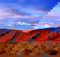Uluru and Kata Tjuta Experience with BBQ Dinner - Nambucca Heads Accommodation