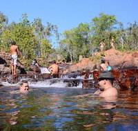 Litchfield and Jumping Crocodiles Full Day Trip from Darwin - Nambucca Heads Accommodation