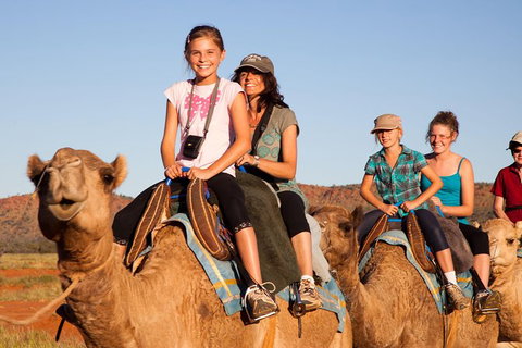 Alice Springs Camel Tour - Nambucca Heads Accommodation 0