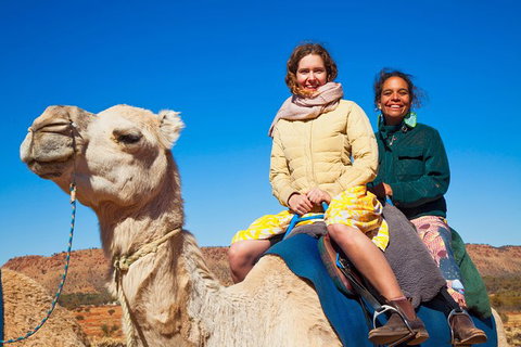 Alice Springs Camel Tour - Nambucca Heads Accommodation 8