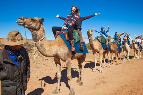 Alice Springs Camel Tour - Nambucca Heads Accommodation 7