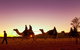 Alice Springs Camel Tour - thumb 4