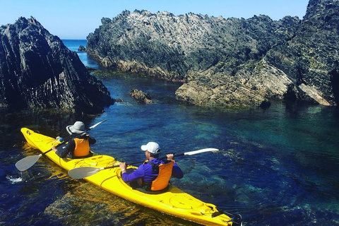 Half Day Sea Kayak Tour From Batemans Bay - Nambucca Heads Accommodation 1