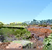 Bladensburg National Park - Nambucca Heads Accommodation