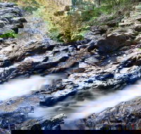 Casuarina Falls Circuit - Nambucca Heads Accommodation
