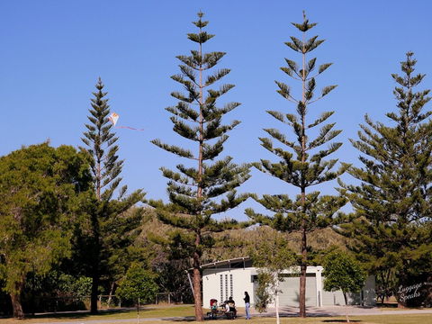 Kurrawa Park - Nambucca Heads Accommodation 0