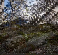 Pheasants Peak Walking Track - Nambucca Heads Accommodation