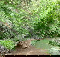 Pirianda Gardens - Nambucca Heads Accommodation