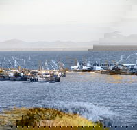 Portarlington - Nambucca Heads Accommodation