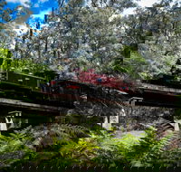 Puffing Billy Railway - Nambucca Heads Accommodation