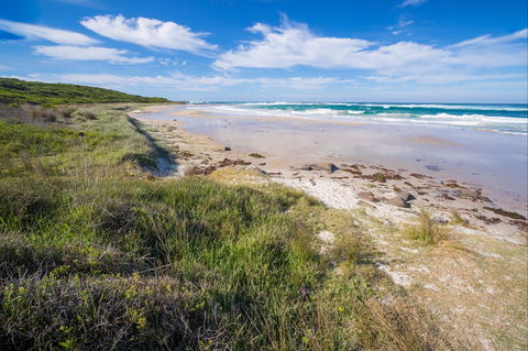 Racecourse Beach: Bawley Point - Nambucca Heads Accommodation 0
