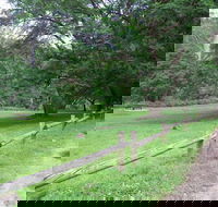 St Albans Reserve - Nambucca Heads Accommodation