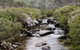 Thredbo River Track - thumb 0