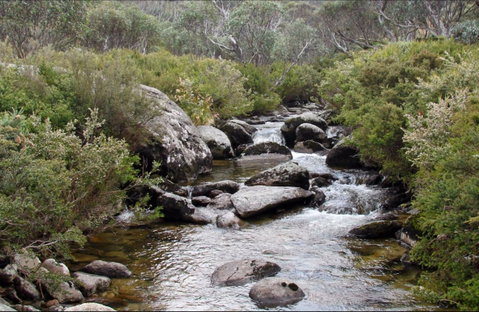 Thredbo River Track - Nambucca Heads Accommodation 0