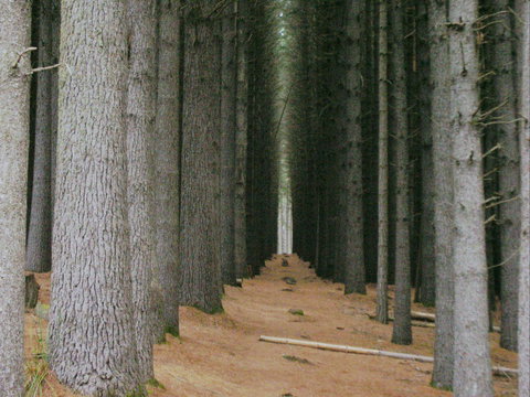 Tumut - Nambucca Heads Accommodation 2