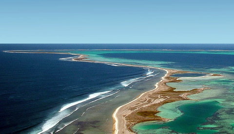 Abrolhos Islands - Nambucca Heads Accommodation 1