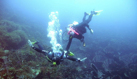 Abrolhos Islands - Nambucca Heads Accommodation 2