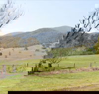 Banimboola Creek Rest Area
