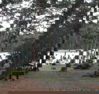 Big Brook Arboretum - Nambucca Heads Accommodation