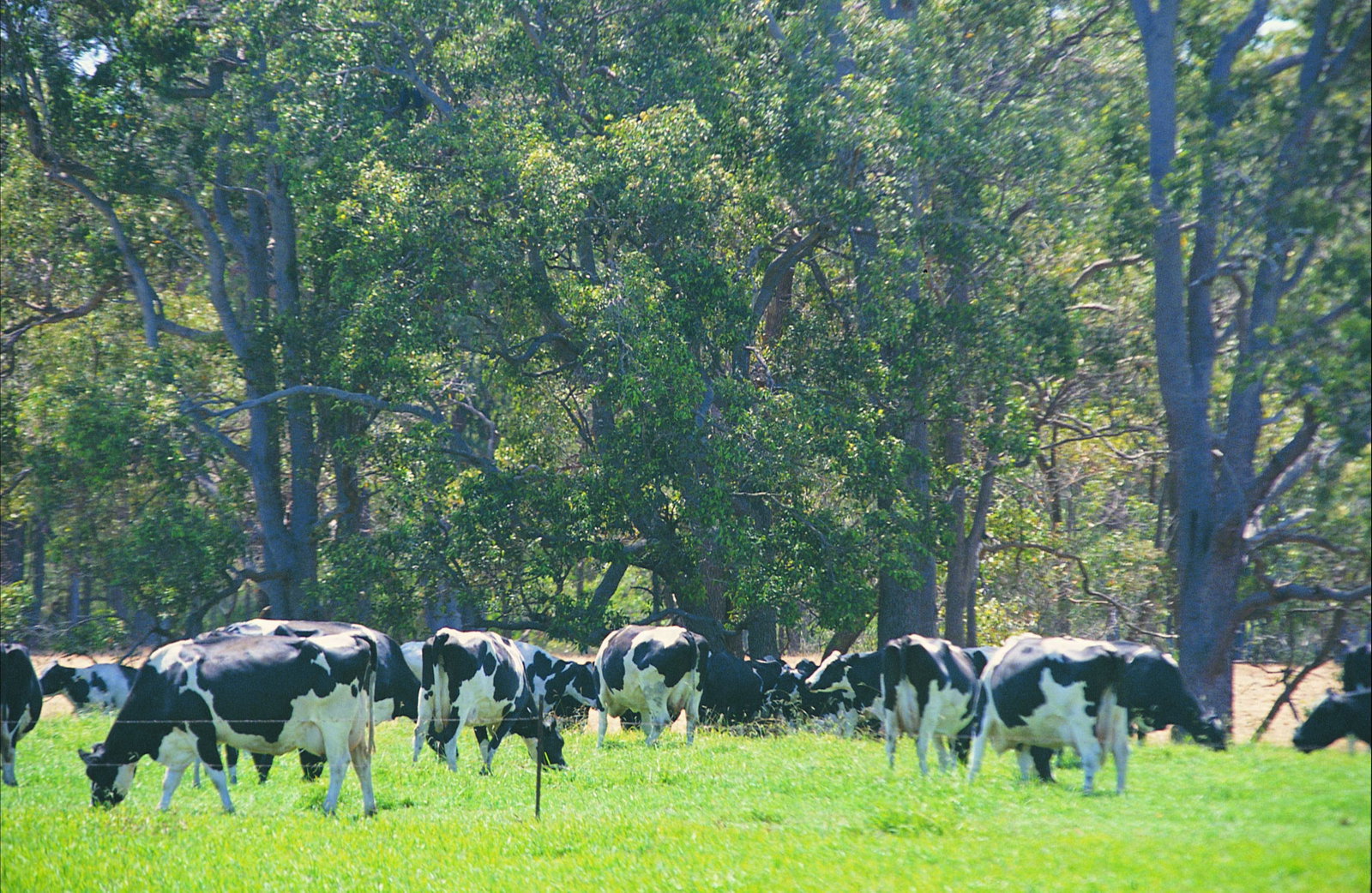 Stratham WA Nambucca Heads Accommodation