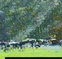 Boyanup - Nambucca Heads Accommodation