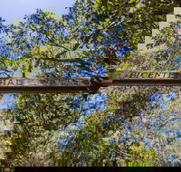 Bribie Island Bicentennial Trails - Nambucca Heads Accommodation