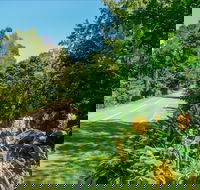 Broughton Vale - Nambucca Heads Accommodation