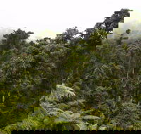 Cascade National Park - Nambucca Heads Accommodation