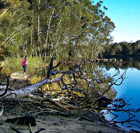 Five Islands Walking Track - Nambucca Heads Accommodation