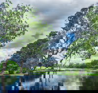 Gold Coast Regional Botanic Gardens