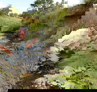 Gold Panning Deep Creek - Nambucca Heads Accommodation