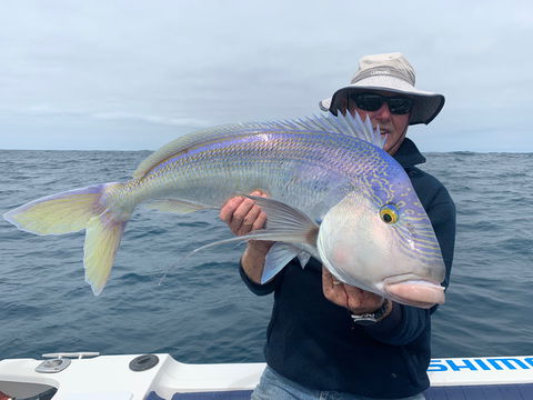 GT Fishing Charters - Nambucca Heads Accommodation 1