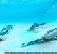 Jurien Bay - Nambucca Heads Accommodation