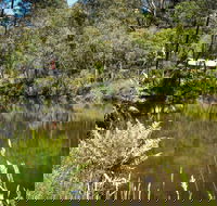 Kurth Kiln Regional Park - Nambucca Heads Accommodation