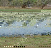 Leaning Tree Lagoon Nature Park - Nambucca Heads Accommodation