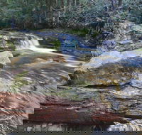 Liffey Falls Reserve - Nambucca Heads Accommodation
