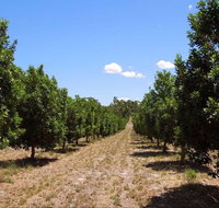 MacNuts WA Shop and Factory