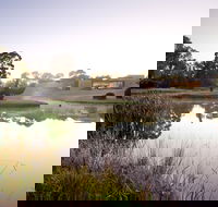 McClelland Sculpture Park  Gallery