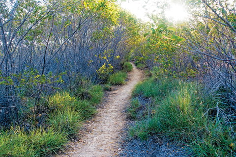 Minerva Hills National Park - Nambucca Heads Accommodation 2