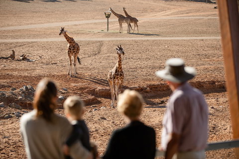 Monarto Safari Park - Nambucca Heads Accommodation 0